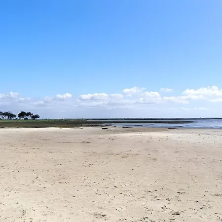 Coeur Du Bassin 3 * Audenge